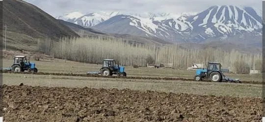 Каныш-Кыя айыл аймагынын айыл өкмөтү айыл өкмөттүн эсебиндеги  айыл чарба мамлекеттик фондунун жерлерине конкурс жарыялайт